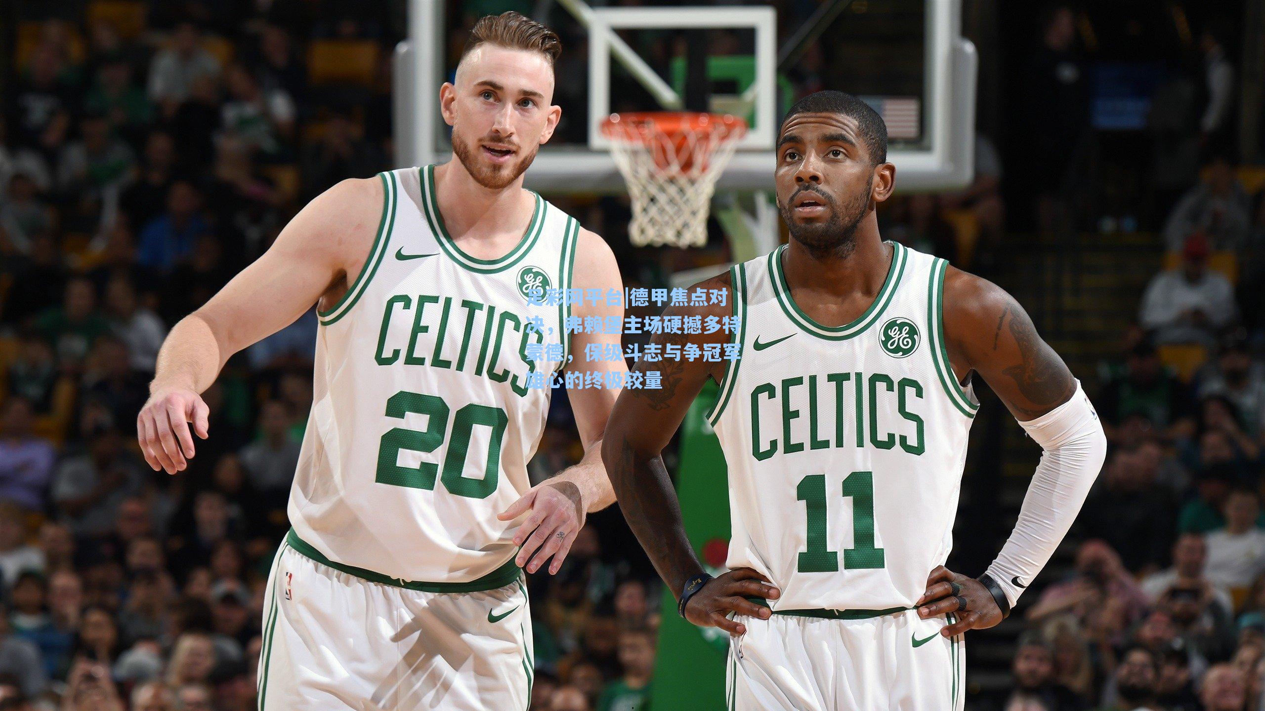 足彩网平台|德甲焦点对决，弗赖堡主场硬撼多特蒙德，保级斗志与争冠军雄心的终极较量