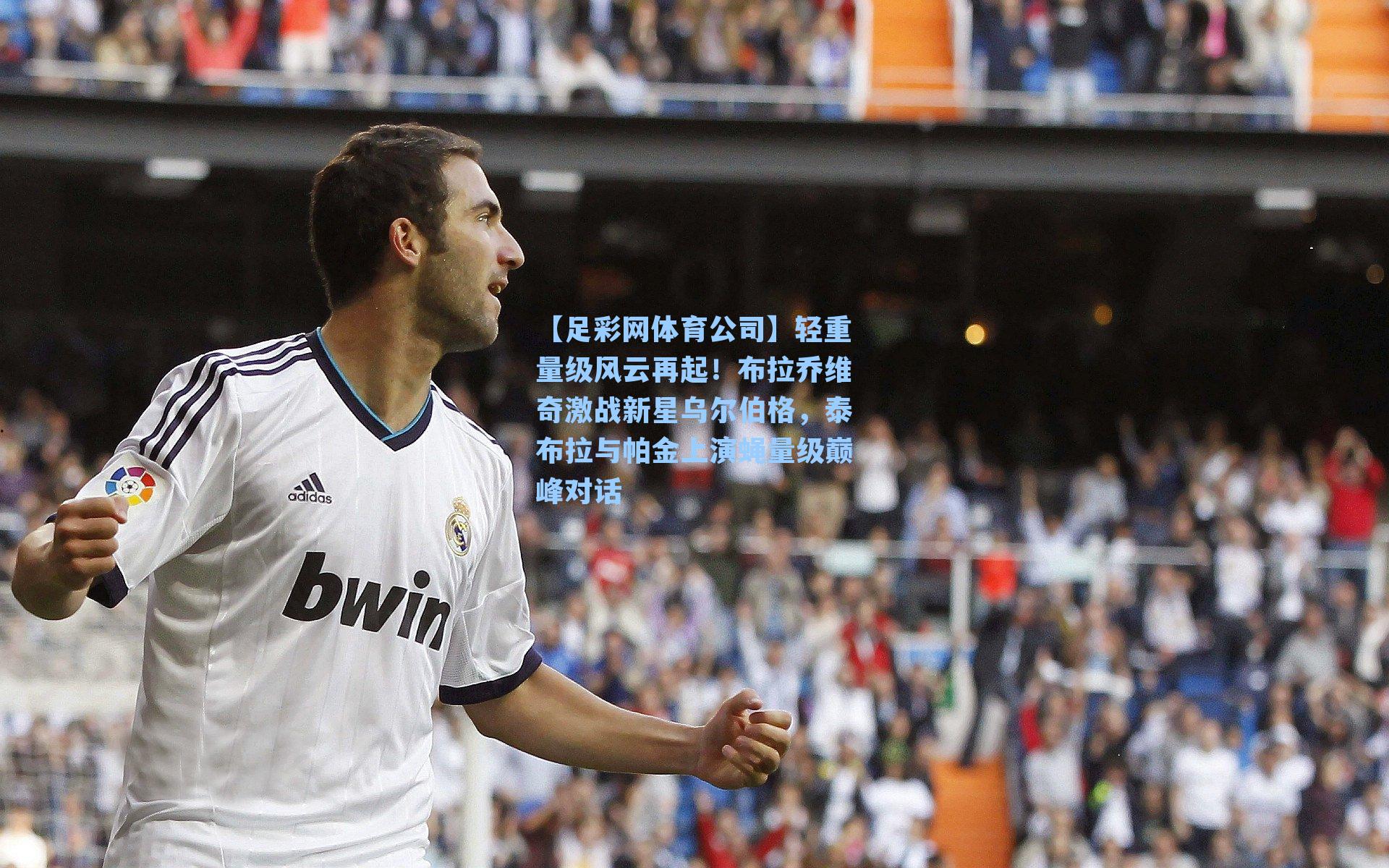 轻重量级风云再起!布拉乔维奇激战新星乌尔伯格,泰布拉与帕金上演蝇量级巅峰对话